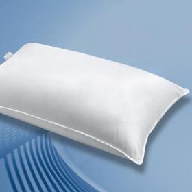 Guanciale piumino d'oca 90 - 10