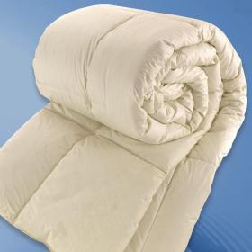 Praga piumino d'oca estivo