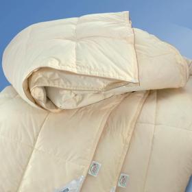 Bristol piumino d'oca autunnale