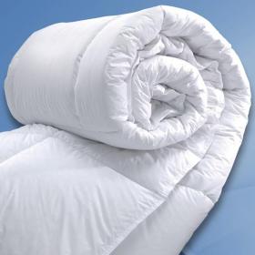 Baikal piumino d'oca Invernale